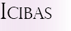 ICIBAS